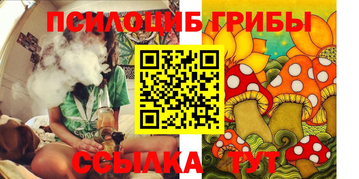 Галлюциногенные грибы мицелий  Галлюциногенные грибы Magic Shrooms  где купить наркоту  Вологда  Вход с VPN 